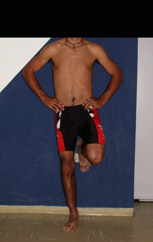 Figura 131: Carga total monopodal, após três anos e oito meses, em 03/06/2003.